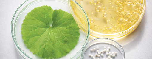 Soothing & Barrier-Supporting Actives